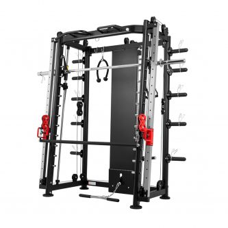      DFC Powergym D822