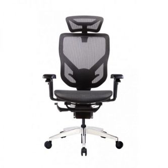    GT Chair VIDA X