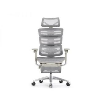 ������ ������������ Falto Evolution � ��������� (����� ������, ����� �����)