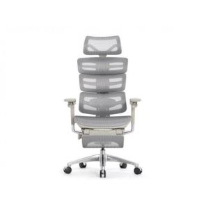   Falto Evolution   ( ,  )