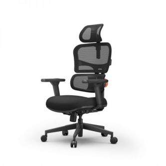 ������������ ������������ ������ FoxGear NETZ ������ XO - office edition