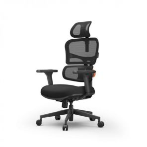 ������������ ������������ ������ FoxGear NETZ ������ XO - office edition