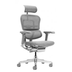 ������������ ������ ������ ���� Falto Ergohuman 2 Luxury ����� , �����