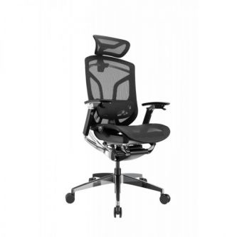 ������� ������������ ������ GTCHAIR Chair Dvary X Pro, ������