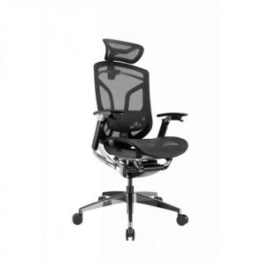 ������� ������������ ������ GTCHAIR Chair Dvary X Pro, ������