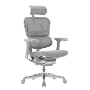 ������������ ������ Falto Ergohuman 2 Elite �����, �����